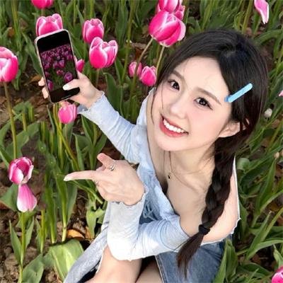帝国玫瑰